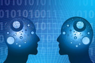 华体会官网-教学资源数字转型，数字化教学资源的生成与管理