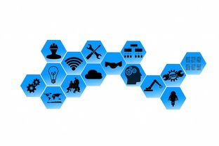 华体会app安装-青少年篮球项目人才梯队构建路径,青少年篮球后备人才