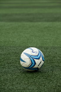 华体会-校园足球项目考核标准缺乏可复制性,校园足球项目绩效自评报告