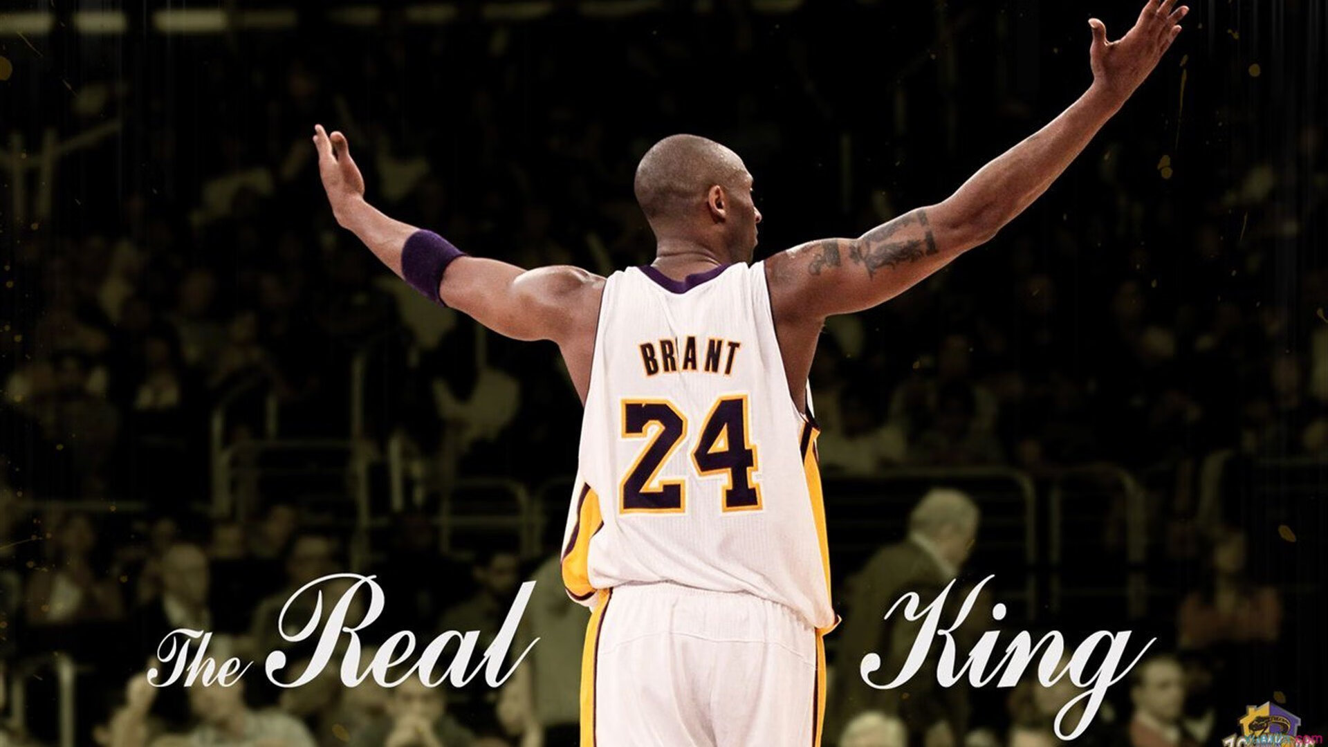 华体会在线-塞尔·拉恩:全黑队外线的“极速破坏者”,突破后的决策充满威胁