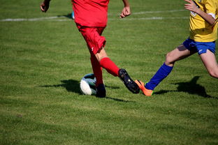 华体会手机网站-拳击锦标赛迎来压轴之战万众瞩目,拳击锦标赛叫什么